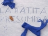 laratitapresumiiiidaaaaaa