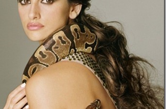 El linaje Lohan y las casualidades encadenadas