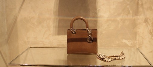 Visitando Dior