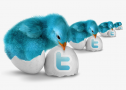 Perfiles de twitter que es mejor evitar (II)