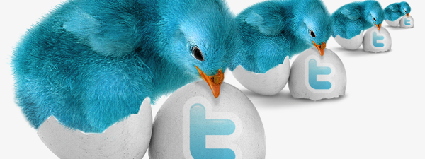 Perfiles de twitter que es mejor evitar (II)